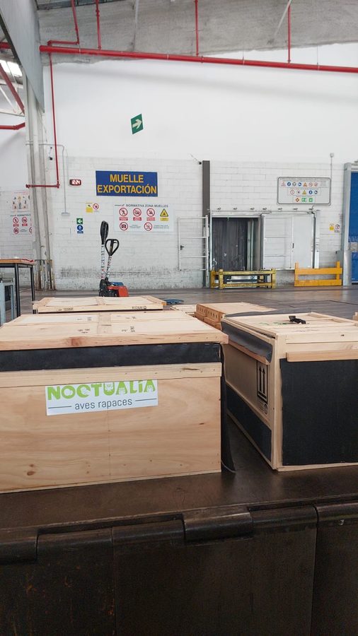 Cajas IATA Noctualia en muelle de exportación