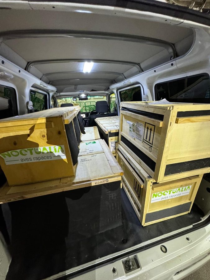 Transporte de cajas IATA en furgoneta