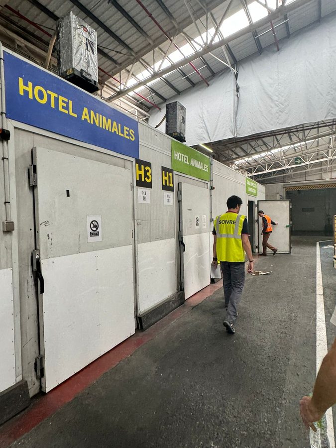 Hotel de animales aeroportuario