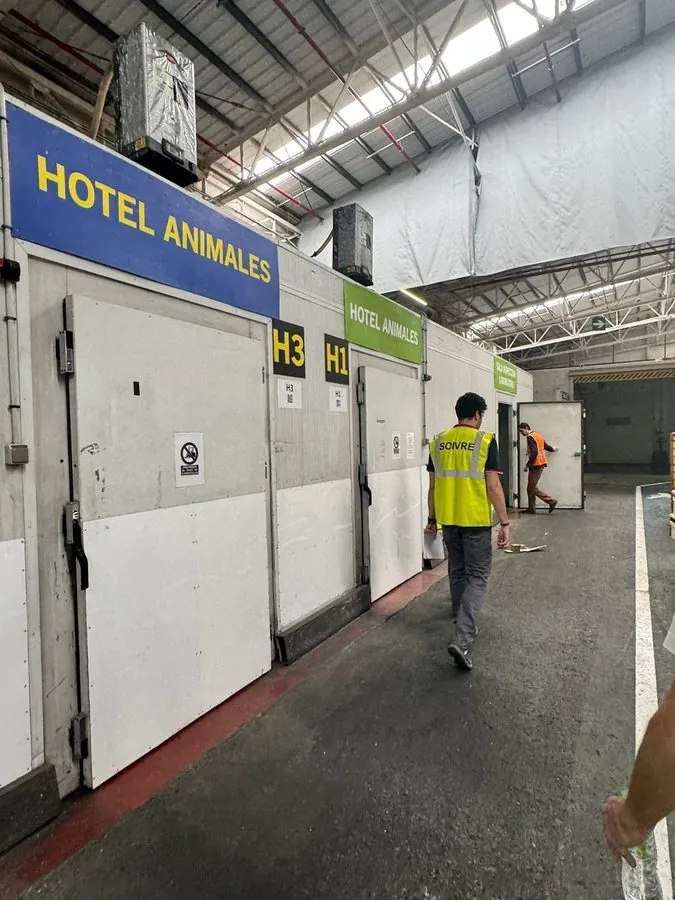Airport animal terminal